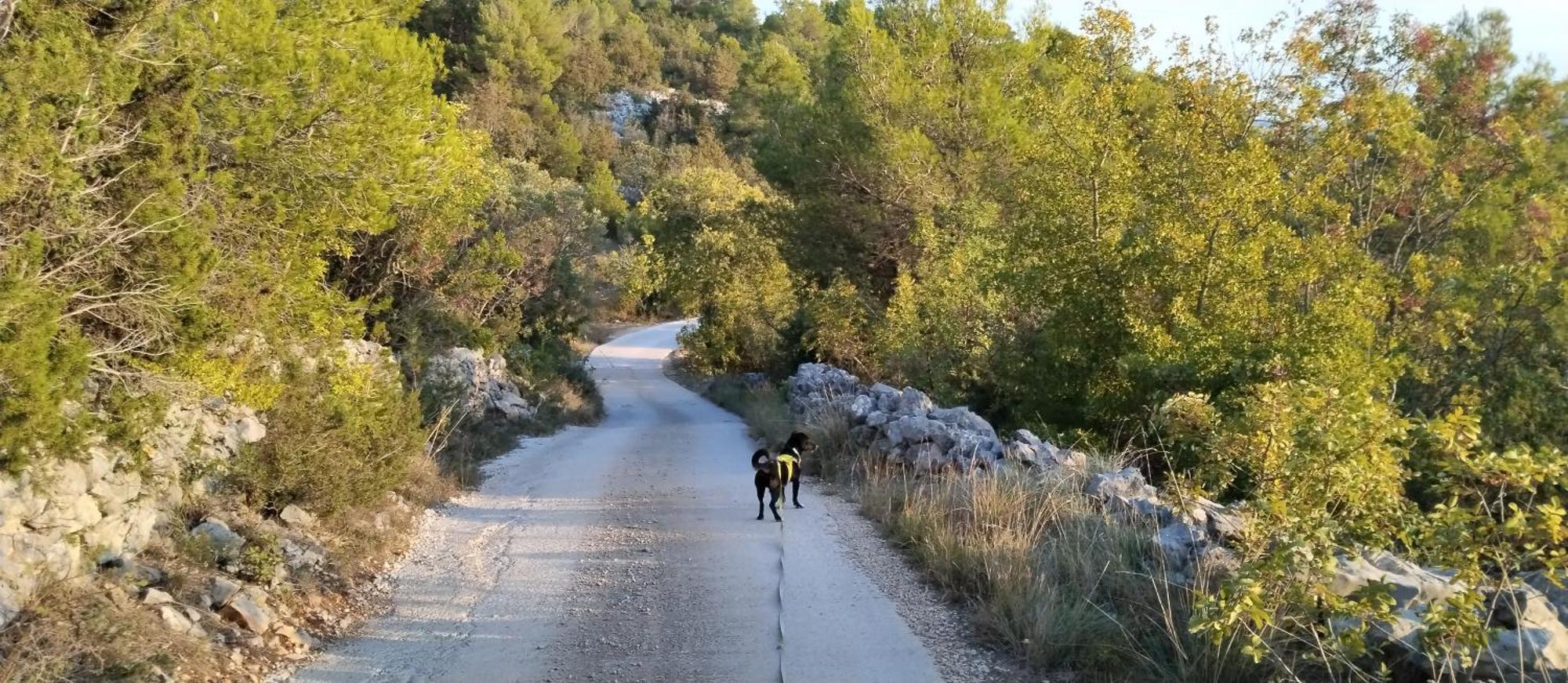 Kuca Mali Raj - Little Paradise Šibenik Kültér fotó