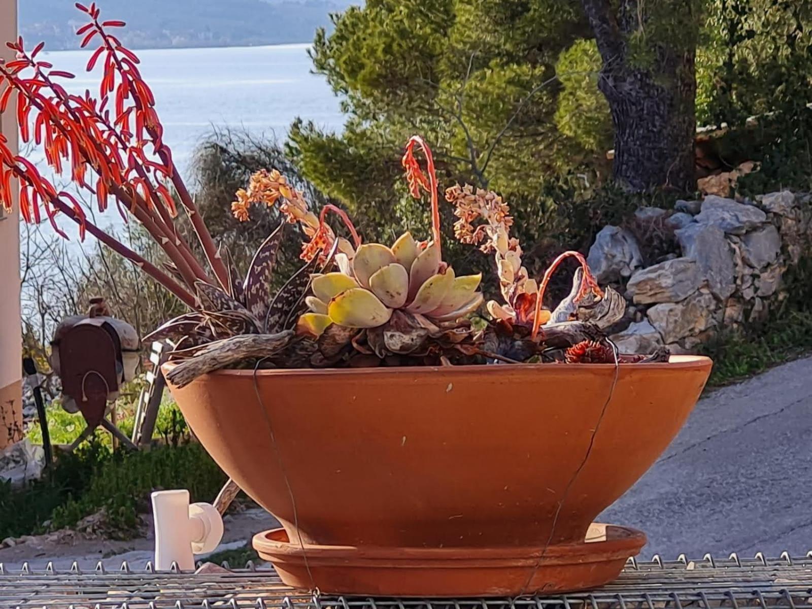 Kuca Mali Raj - Little Paradise Šibenik Kültér fotó